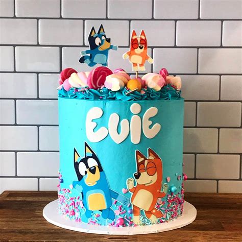 Bluey And Bingo Birthday Cake Ideas