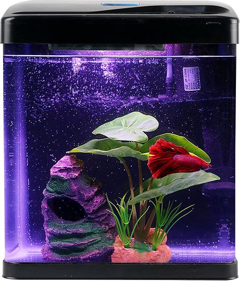 Amazon com Betta Fish Tank Kit de iniciación de acuario pequeño de 2