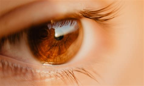 Close Up Photo Of Unpaired Brown Eye · Free Stock Photo
