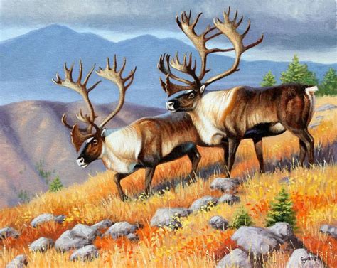 North American Originals By Cynthie Fisher Wildlife Artwork Wildlife