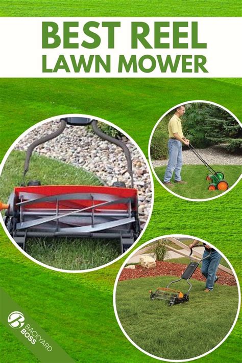 The Top Reviews Of The Best Reel Lawn Mowers Artofit
