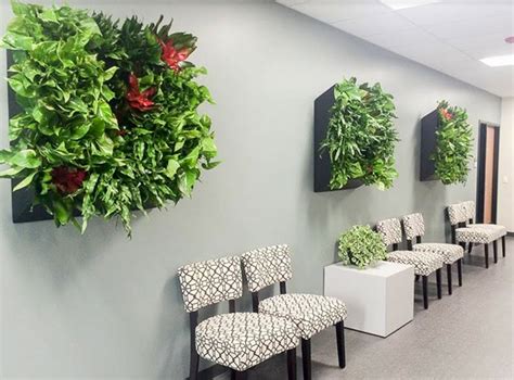Workplace Plants Top Indoor Plant Service