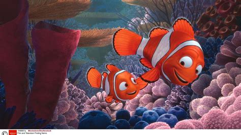 Finding Nemo and Harry Potter 'do not inspire demand for pets', new study says | Science & Tech ...