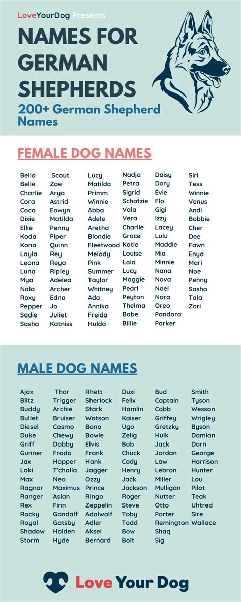 German Shepherd Dog Names 200 Different Male And Female Names Dog
