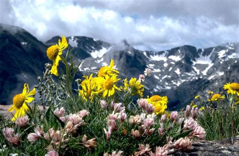 6 Tips For Visiting Rocky Mountain National Park The Adventures Of