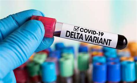The delta variant has come to dominate headlines, having been discovered in india where it provoked an extreme surge in covid cases before spreading around the world. Joe Biden: «La variante delta del coronavirus le hará muchos daño a EE.UU» | | Analitica.com