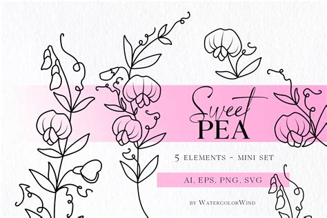 Sweet Pea Birth Month Flower Svg Files April Birthday Flower Inspire