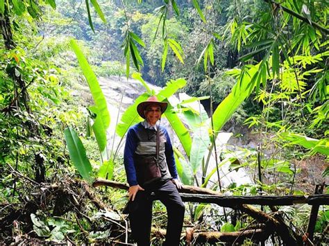 Air terjun ini berada di provinsi jawa timur, tepatnya di perbatasan kabupaten lumajang dan juga kabupaten malang. Gabai waterfalls also known as Air Terjun Sungai Gabai ...