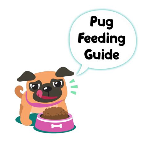 Best Dog Food For Pugs 2021 Review Dog Breeds List