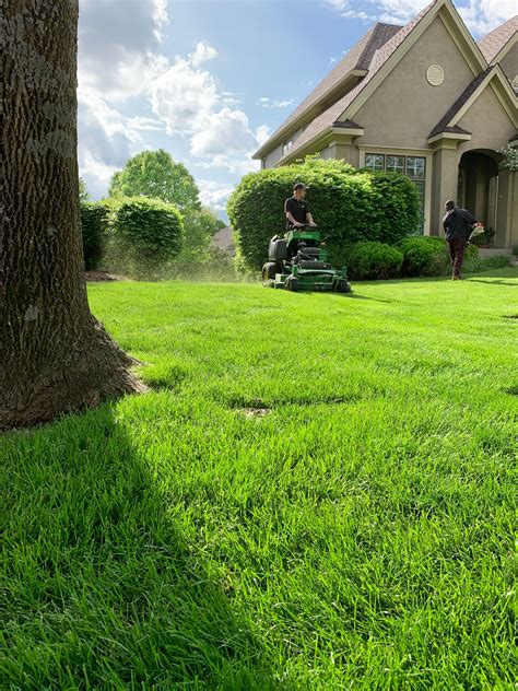 Lawn Care Companies What You Need To Know Lawn Care Companies Lawn