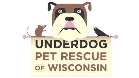 We did not have exact matches for. Underdog Pet Rescue - What is Underdog? - YouTube