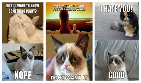 Grumpy Cat Meme Cartoon