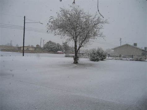 Yucca Valley Ca Joshuatree December 172008 Snow Storm Photo