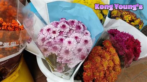 Flower Market Prince Edward Hk Kong Youngs Youtube