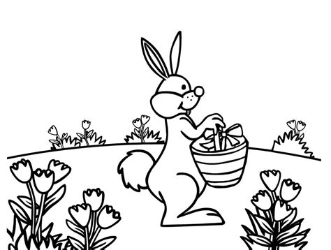 rabbit coloring pages photo animal place
