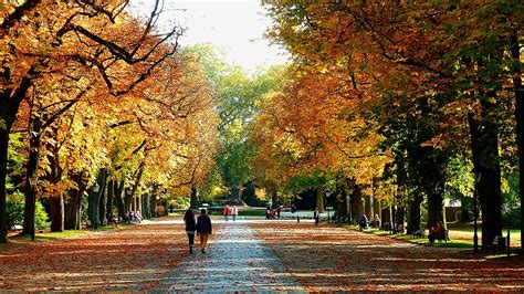 Autumn Walk Golden · Free Photo On Pixabay