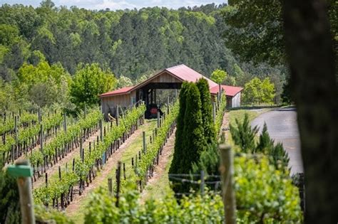 Top North Carolina Wineries To Visit In The Tryon Foothills Winetraveler