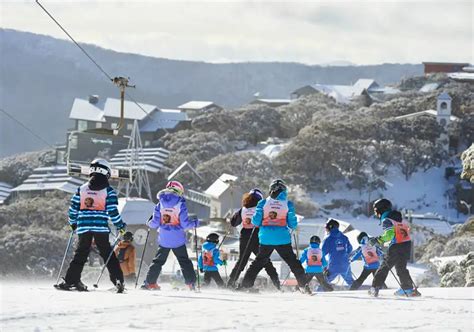 Compare Snow In Australia Australian Ski Fields Comparison