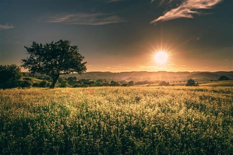 Summer Meadow During A Hot Sunset In Germany Oc 1920x1281 Amazing