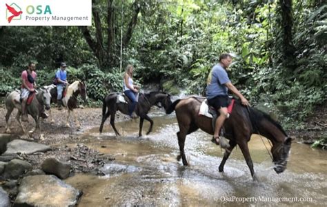 Nauyaca Waterfall Costa Rica Tours Activities Dominical Uvita