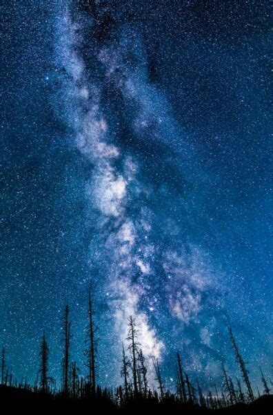 The Milky Way Galaxy Over The Forest Nature Photography Night Skies