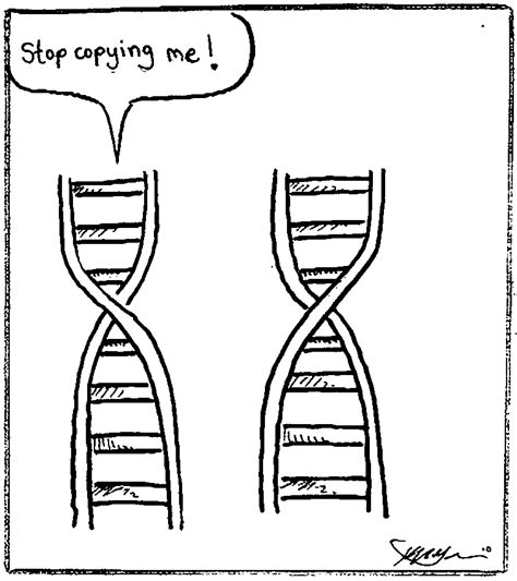17 Dna Jokes And Pick Up Lines With Explanations Science Jokes