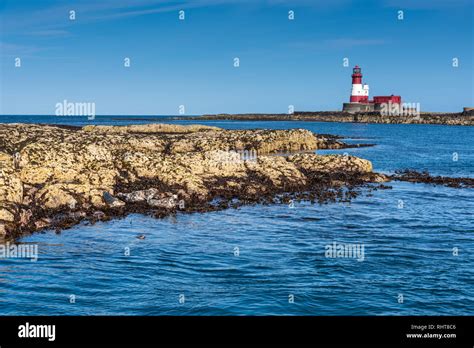 Longstone Lighthouse Farne Islands Northumberland Uk Stock Photo Alamy