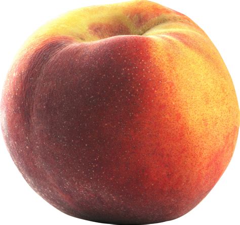 Peach Png Transparent Peachpng Images Pluspng