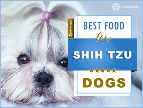 It's best to distribute a shih tzu's daily food allowance over three equally if your shih tzu is still a puppy, he will need feeding four times a day. What Kind Of Food Should I Feed My Shih Tzu Puppy - Puppy ...