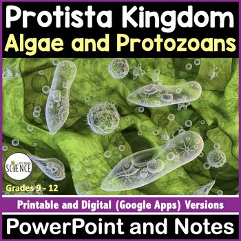 Results For Protista Kingdom PowerPoint And Notes Set TPT