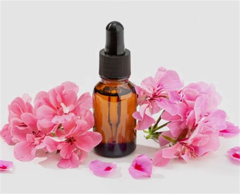 Geranium Oil Heres Why This Essential Oil Is A Must Have For Every