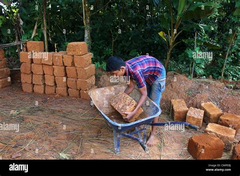 Child Labour Stock Photos And Child Labour Stock Images Alamy