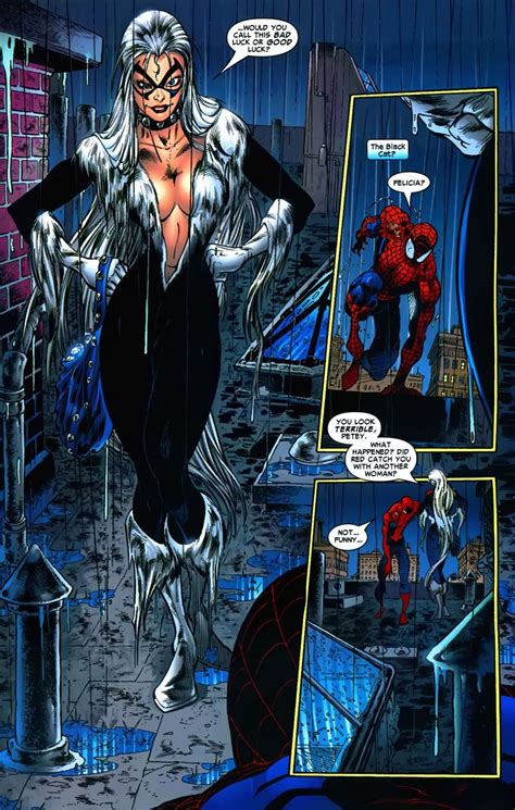The Black Cat In The Sensational Spider Man Vol 2 24 Art By Angel