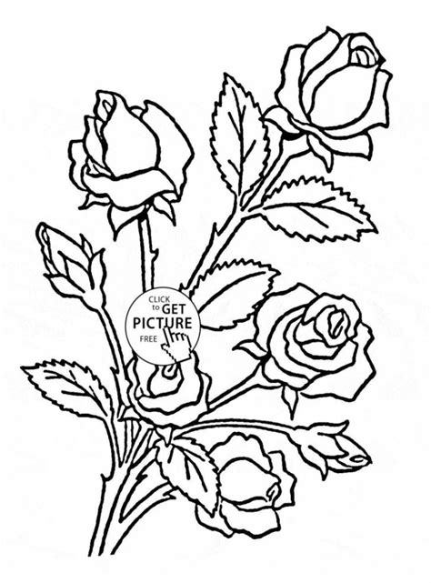New free coloring pages browse, print & color our latest. Rose Bush Coloring Pages at GetColorings.com | Free ...