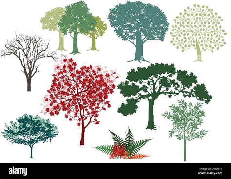 Trees Stock Vector Images Alamy