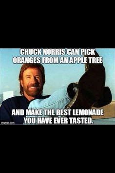 Chuck Norris Ideas Chuck Norris Norris Chuck Norris Jokes