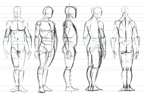 Turn Around Simple Character Model Sheet Character Reference Sheet