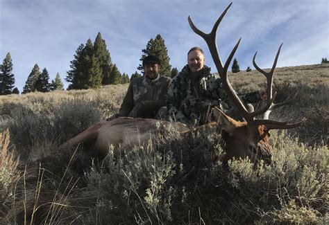 Elk Hunting Idaho Guided Elk Hunts Mystic Saddle Ranch