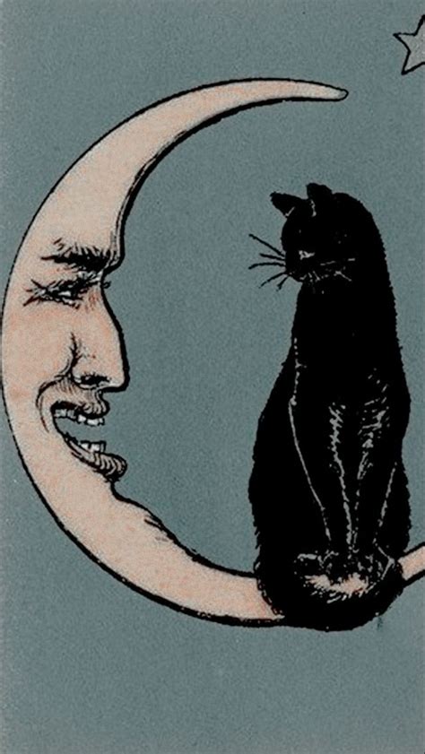 𝙚𝙡𝙚𝙢𝙤𝙣𝙨 🍾 Psychedelic Art Cat Art Hippie Wallpaper
