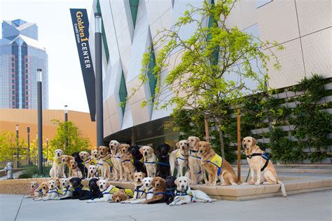 Gold Rush Chapter | Canine Companions