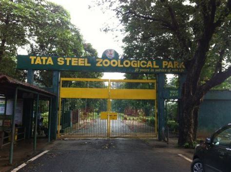Tata Steel Zoological Park Timings Jamshedpur Location Entry Fees