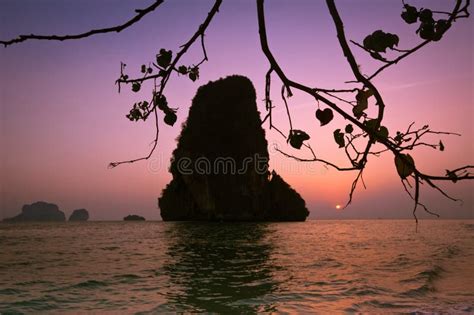 Sunset At Tropical Beach Landscape Sea Shell At The Ocean Coast Stock