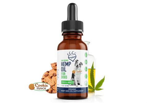 Hemp Oil For Dogs Benefits And Uses Great Pet Care