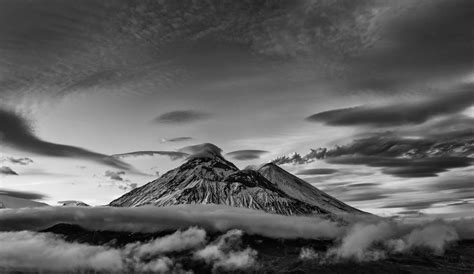 100 Best Photos From The Contest Wild Nature Of Russia 2015 14