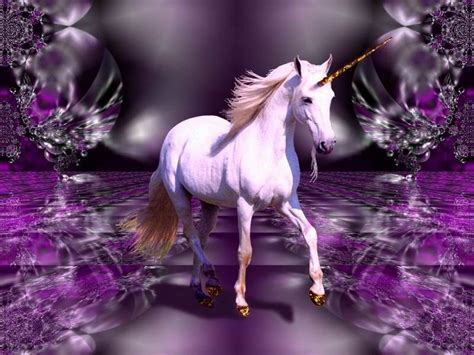 Real Unicorns Wallpapers Wallpaper Cave