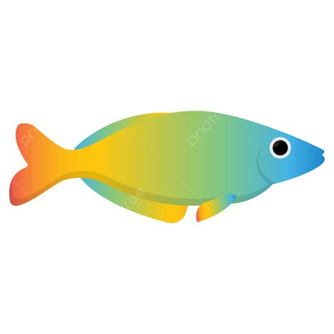 Rainbowfish Fish Rainbow Background Png And Vector With Transparent