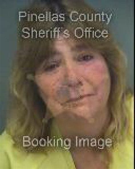 pinellas beaches jail bookings may 21 27 pinellas beaches fl patch