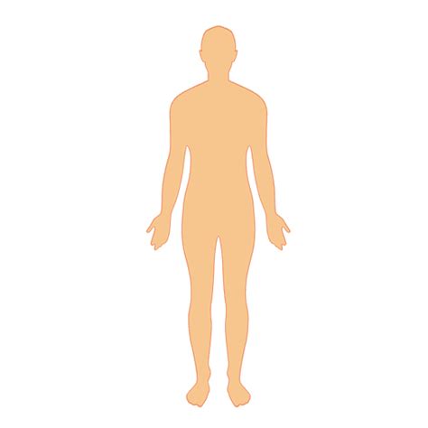 Human Body Man Png And Svg Design For T Shirts