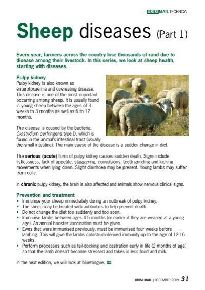 sheep diseases part 1 ubisi mail magazine
