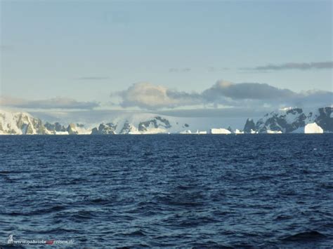 3 Inseln In Der Antarktis Cierva Cove Mikkelsen Harbour Und Spert